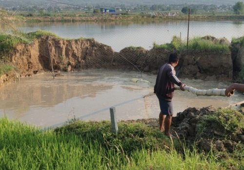 हेटौंडामा सडक भासिँदा पिकअप भ्यान गायब, पानीको दहमा डुब्यो गाडी
