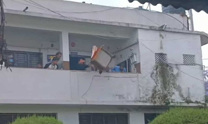 नेविसंघको आन्दोलन उग्र: आरआर तोडफोडमा १९ जनालाई पक्राउ पुर्जी