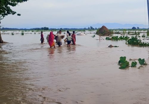 झापा बाढी अपडेट: पूर्वपश्चिम राजमार्ग र कोशी लोकमार्ग ठाउँठाउँमा अवरुद्ध, २२ परिवार विस्थापित