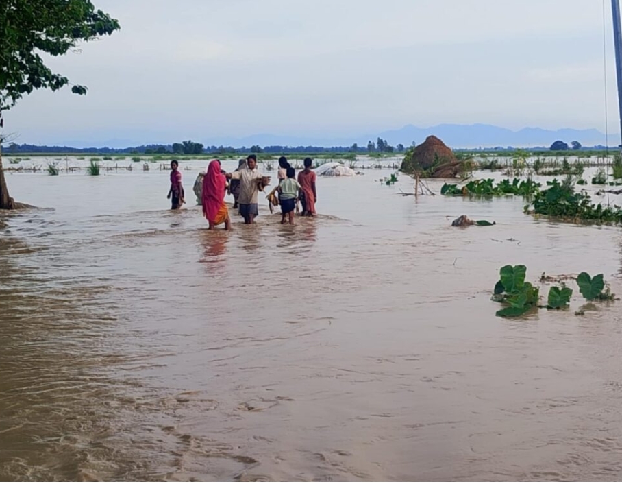 झापा बाढी अपडेट: पूर्वपश्चिम राजमार्ग र कोशी लोकमार्ग ठाउँठाउँमा अवरुद्ध, २२ परिवार विस्थापित