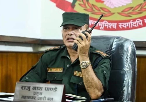 निलम्बनविरुद्ध महानगर प्रहरी प्रमुख पाण्डेद्वारा उच्च अदालतमा रिट