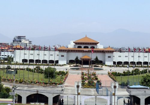 संसद् भवनमा ड्रोन खस्दा ५ जना पक्राउ, ड्रोन परीक्षणको क्रममा घटना भएको खुलासा