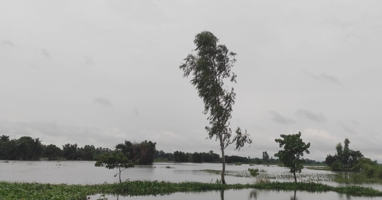 धनुषाको मंगराहा डुबानमा, किसानको धानबाली नष्ट
