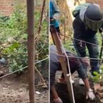 गंगबुमा कुकुरमाथि कुटपिटपछि जिउँदै पुरिएको आरोपमा तीन जना पक्राउ