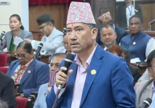 सेयर बजारमा डर र त्रास, सरकार जिम्मेवार ?