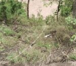 दैलेख बस दुर्घटना अपडेट: २४ घण्टा बित्दा पनि गाडी र अधिकांश यात्रुको अवस्था अज्ञात