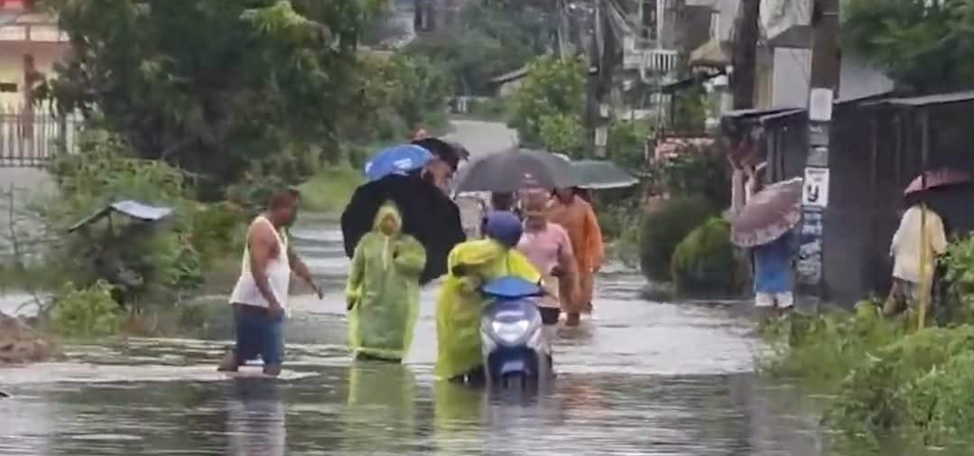 चितवनमा मुसलधारे वर्षाको असर: घरभित्र पस्यो पानी, सडक डुबानमा