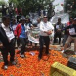 उचित मूल्य नपाएपछि किसानको आक्रोश, माइतीघरमा गोलभेँडा फ्याँकेर विरोध